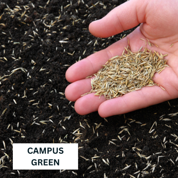 Campus Green Turfgrass Seed 10KG bag - Rye Grass/BlueGrass Blend