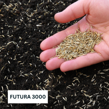 DLF Canada Professional Turfgrass Seed Premium Perennial