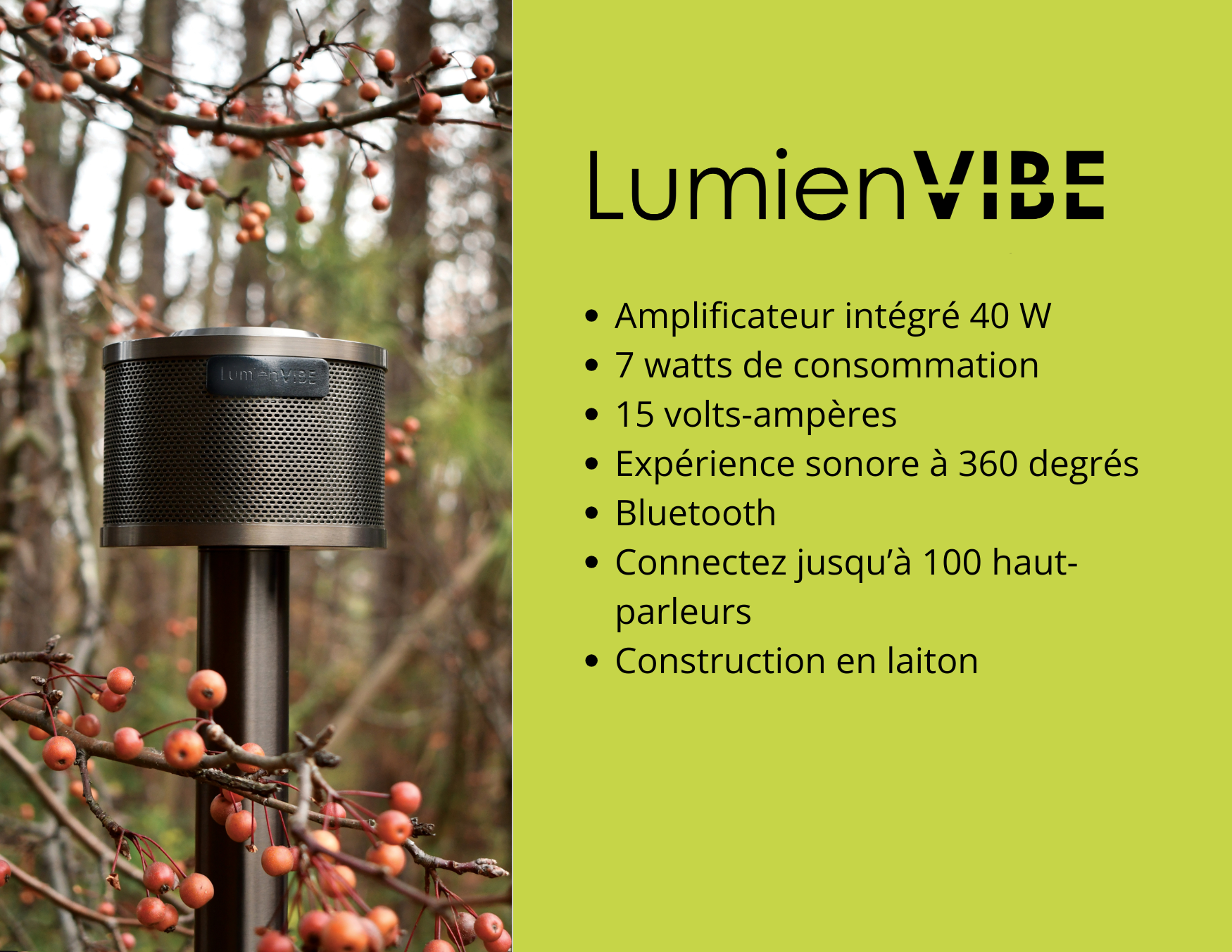 LumienVIBE Quick Connect System Speaker. The future of Landscape Sound with 40W Built-in Amp.