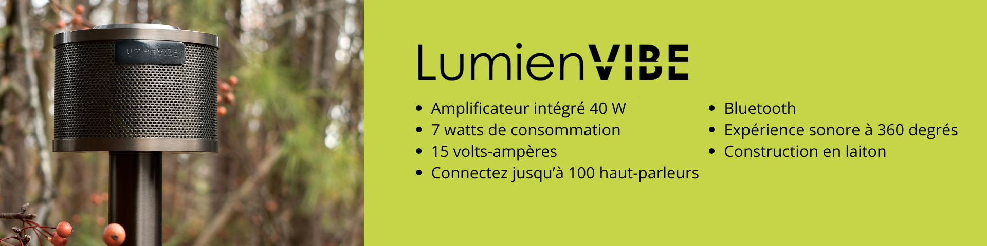 LumienVIBE Quick Connect System Speaker. The future of Landscape Sound with 40W Built-in Amp.